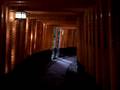 videos de Torii de Fushimi Inari