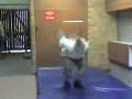 videos de Reggies             attempt at a back flip.3gp