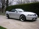 Mustang Cobra Video