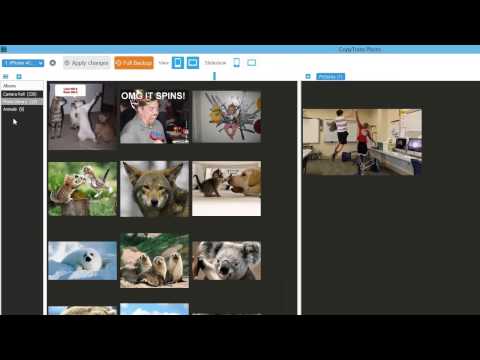 video-linktoworks-How to transfer iPhone photos to PC