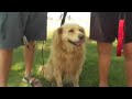 Doggie Dip Digest - Planet-Pets TV 2