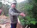 aramaiti aramaiti