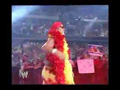 hulk hogan