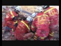 Perros ARCÓN GEBOCYL y de Diputación Alicante