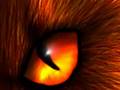 videos de warrior cats- brambleclaw