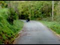 power...freebord