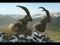 Famous Steinbock MTB Friends Famous Steinbock MTB Friends
