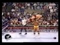 Ultimate Warrior(The destruction of self)