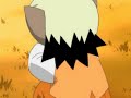 TAIL CONCERTO movie