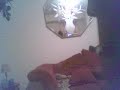Rockin off