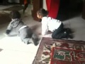 Primeros pasos de Max!!!