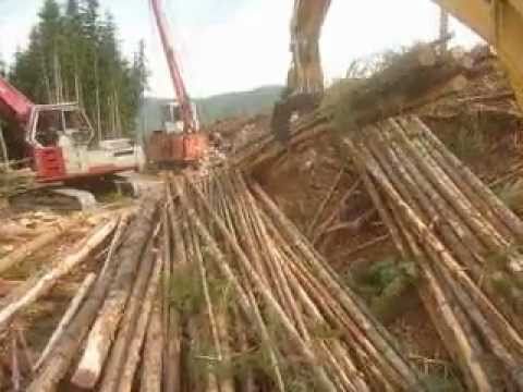 video log - Jeff Tellefsen starts up Blue Mt and gets loaded with Hemlock pulp logs for Everett Wa.