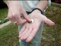 Amazing MEXICAN coin vanish!!! Amazing MEXICAN coin vanish!!!