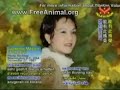 TVA (Tibetans) receives the Shining World Award - PART 2 TVA (Tibetans) receives the Shining World Award - PART 2