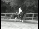 Flatwork wiv Fatty x