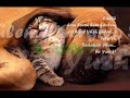 iYiki Dogdun - Manevi Deger