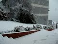 Isso aconteceu em 22/08/2009...em plena cidade. Este video gravei aqui do local onde estou hospedado.