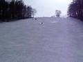 SKI in Nagano No.5/6