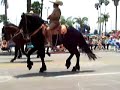 Dancing Horses
