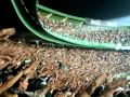 vamos vamos meu verdão Coritiba x palmeiras 05/05/2011