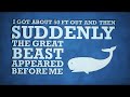 Kinetic Type / Motion Graphics - Seinfeld - The Marine Biologist Kinetic Type / Motion Graphics - Seinfeld - The Marine Biologist