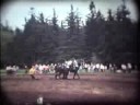 Horse Plowing Contest
