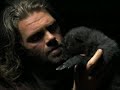 Baby Wolf Learning To Howl