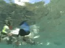 Marine Protected Areas, the Papahanuamokuakea and sharks