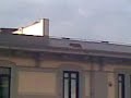 Cane pazzo2.3gp