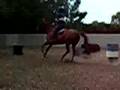 Bess Jumping