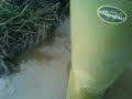 le Chameau wellies in mud and water