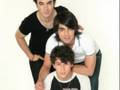 Jonas-Brothers-Tribu