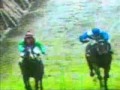 Palio di Buti 5�Parte
