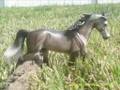 videos de Natural Pictures of my new Breyer: Bluegrass Bandit