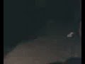 cameron singing