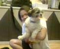 Chinese New Year Dog2