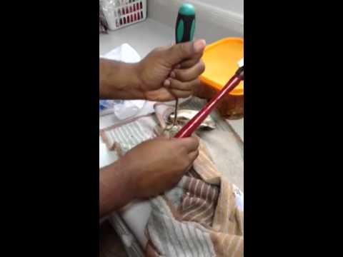 how to properly open an oyster