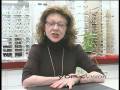 videos de York Vision