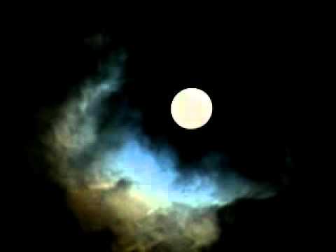 CDB Video Legend of Wooly Swamp