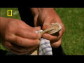 City Overrun by Snakes
