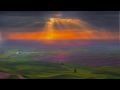 Fon.Leman - Good Morning Sophie (Sulocki Remix)