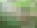 videos de Novesky Trashes Neigh