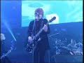plastic-tree-sinklive.html