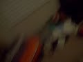 upload accident upload accident