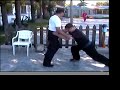 push hands grandmaster wang chieh