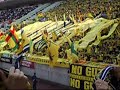 JEF-United-Chiba-fan