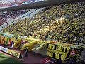 JEF-United-Chiba-fan