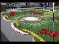 Ares: alfombras florales 2008