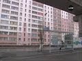 Des  agents De Paisibilité  Dans Les Cités? [marseille]