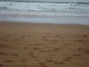 videos Surf
